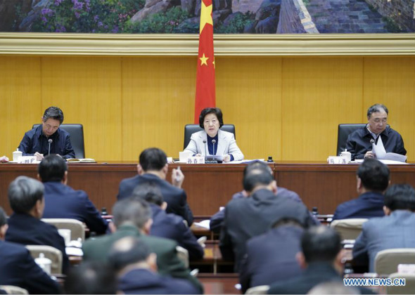 Vice Premier Stresses Scientific Prevention, Control of Nove
